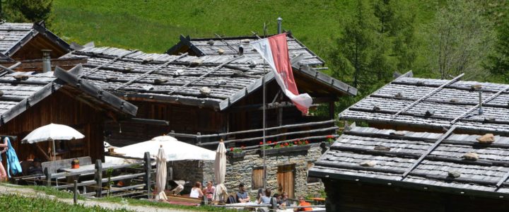 Auf der Fane Alm übernachten