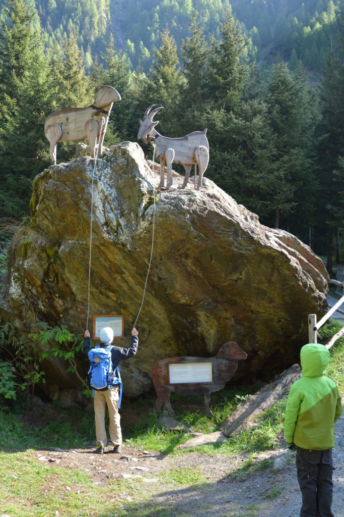 Fane Alm wandern: Milchweg ab Vals