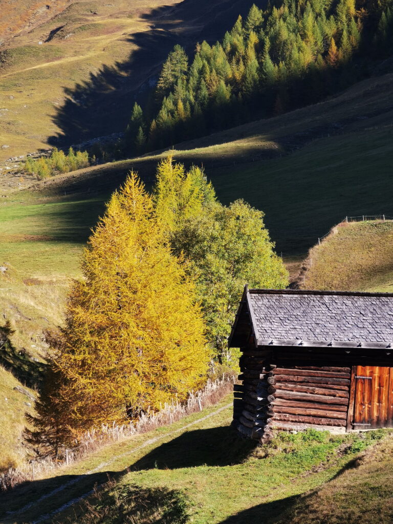 Fane Alm wandern