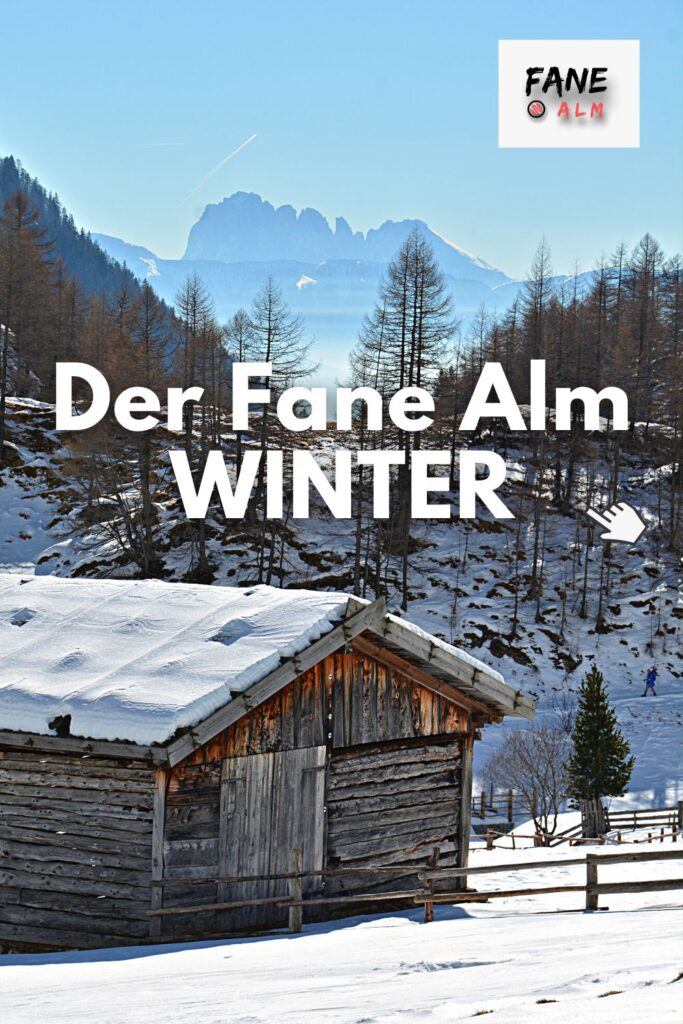 Malga Fane Winter